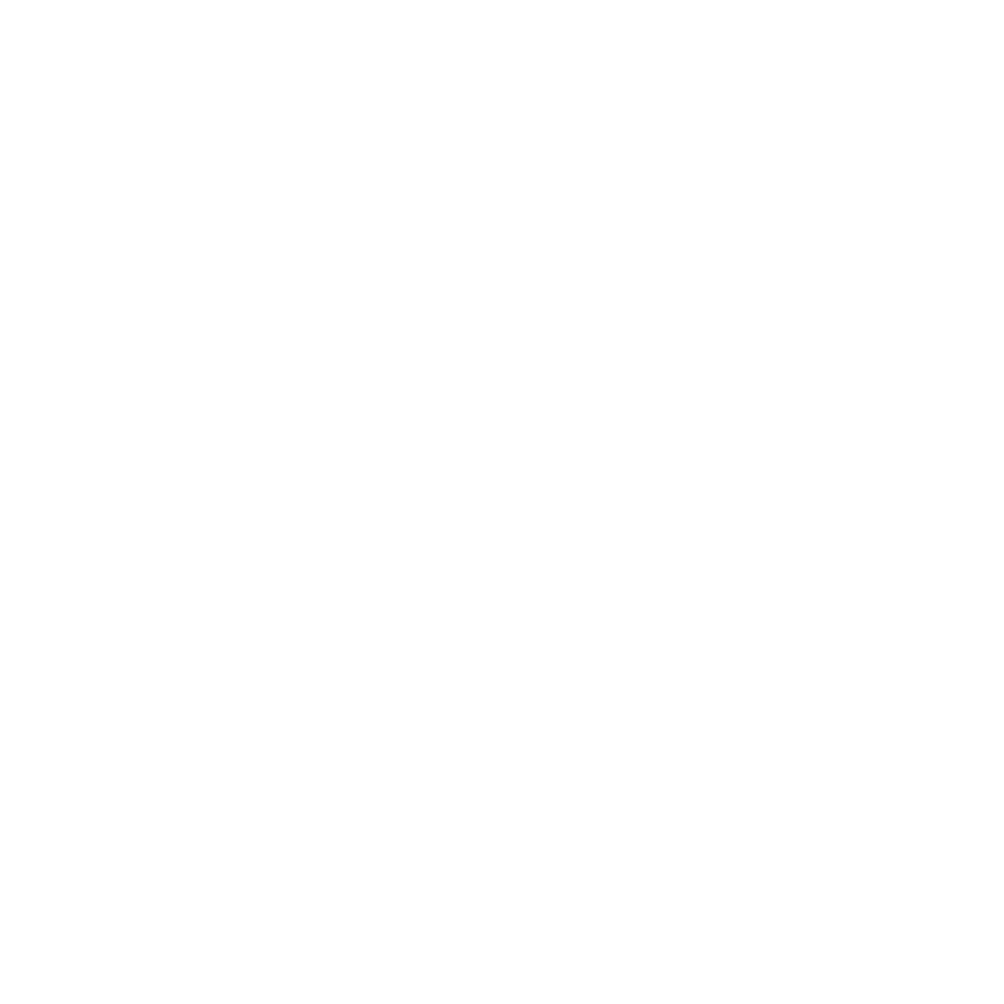 Ikonica